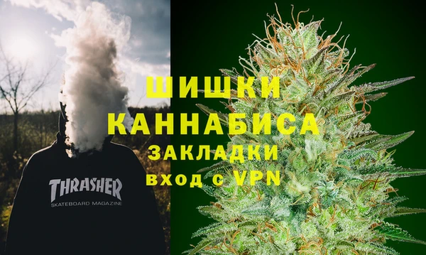 стаф Тутаев
