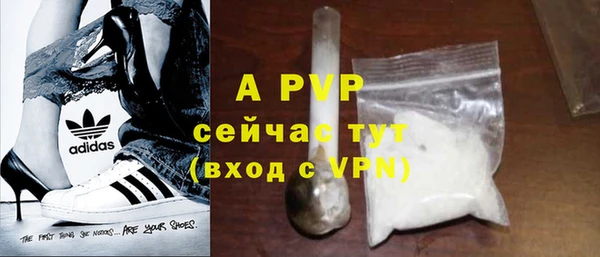 прущие грибы Балабаново