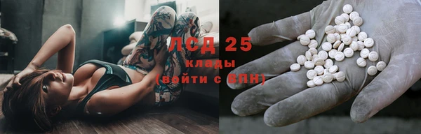прущие грибы Балабаново