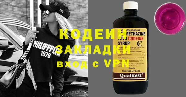 прущие грибы Балабаново